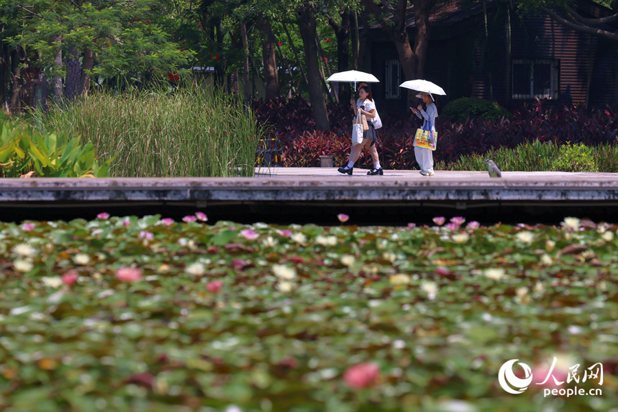 市民游客漫步于蓮池廊道。人民網(wǎng)記者 陳博攝