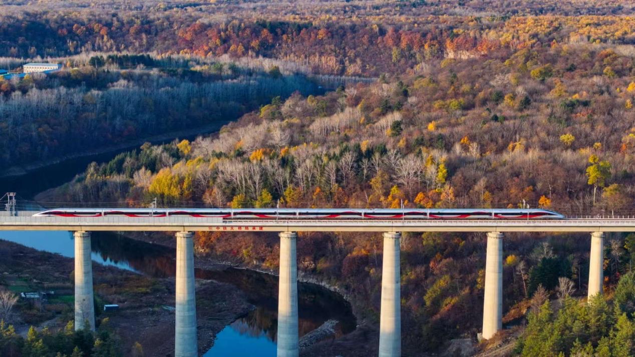 沈白高鐵正式開通運營。受訪方供圖