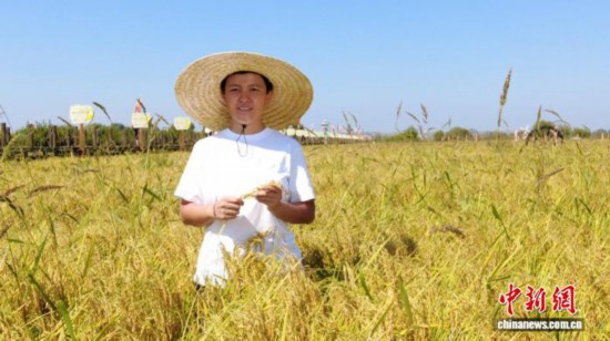 全國(guó)人大代表、寧安市渤海鎮(zhèn)上官地村黨支部書記、村委會(huì)主任陳雨佳在稻田中。 受訪者供圖